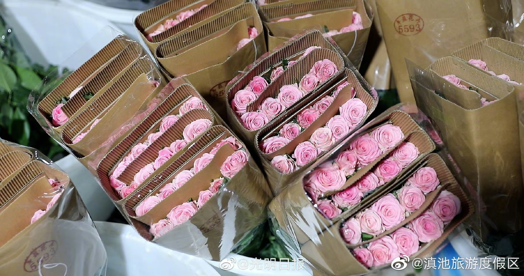 滇池旅游度假区