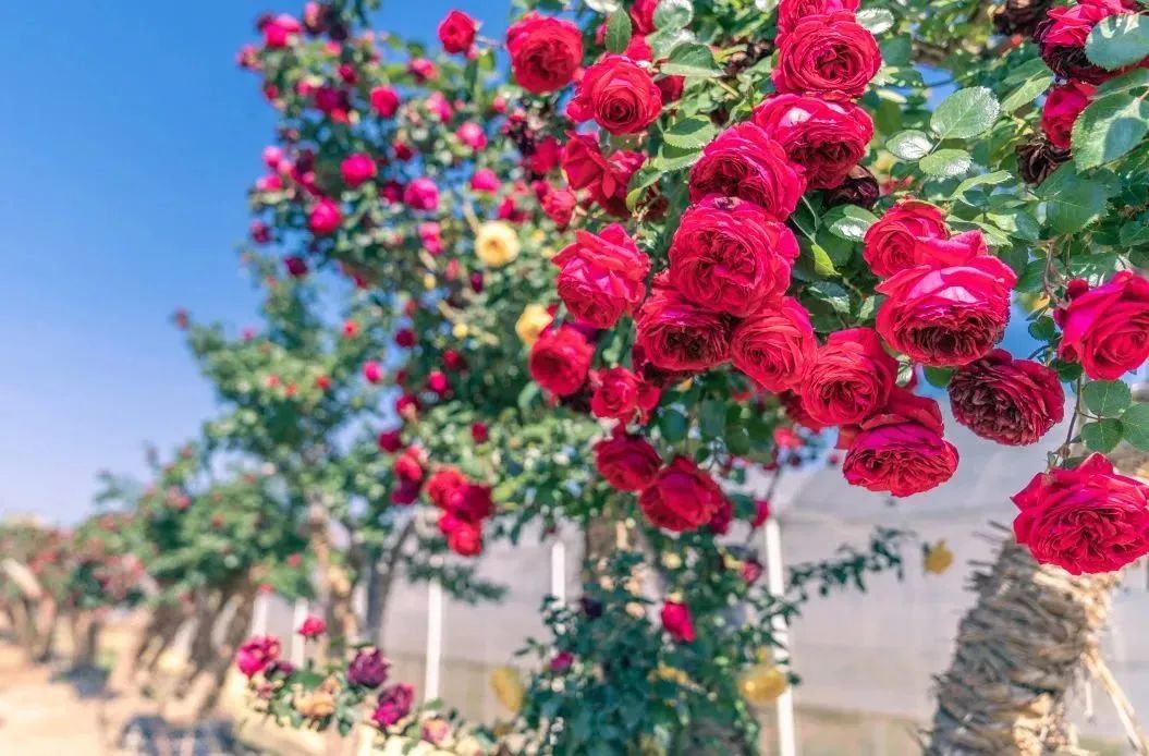 晋宁诗意的栖居地