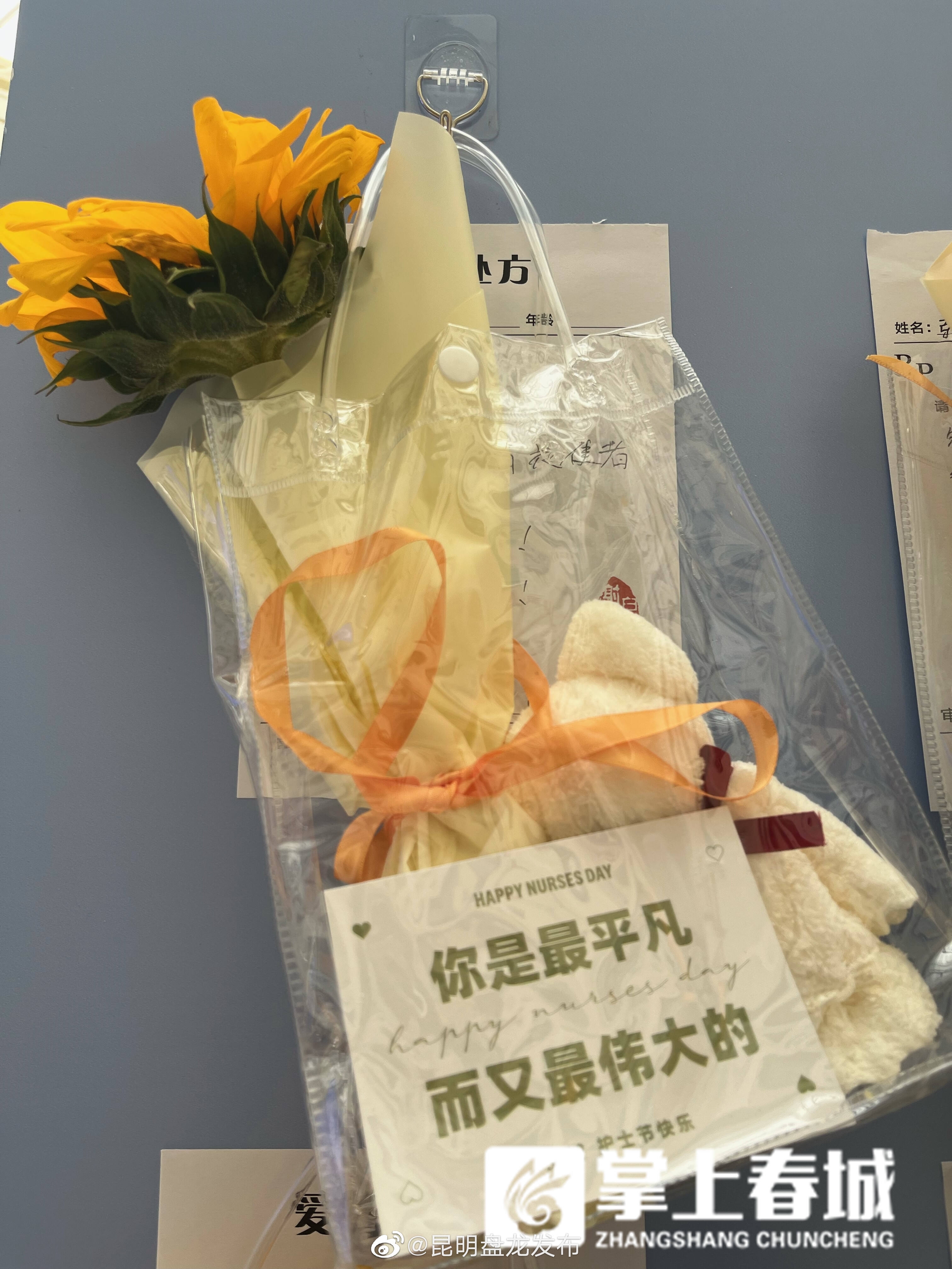昆明盘龙发布