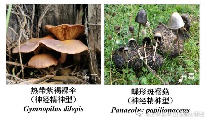 五华区华山街道办事处