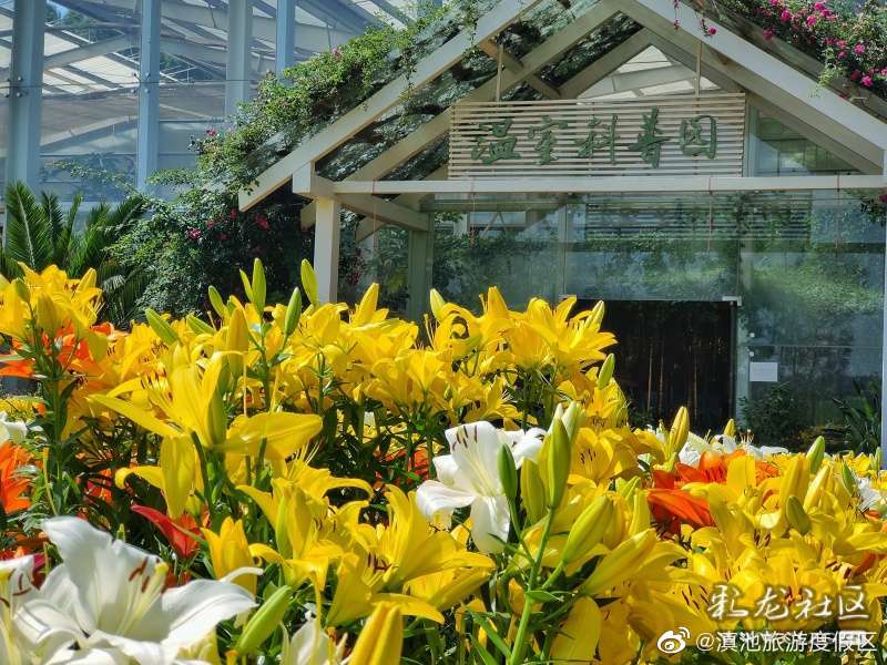 滇池旅游度假区