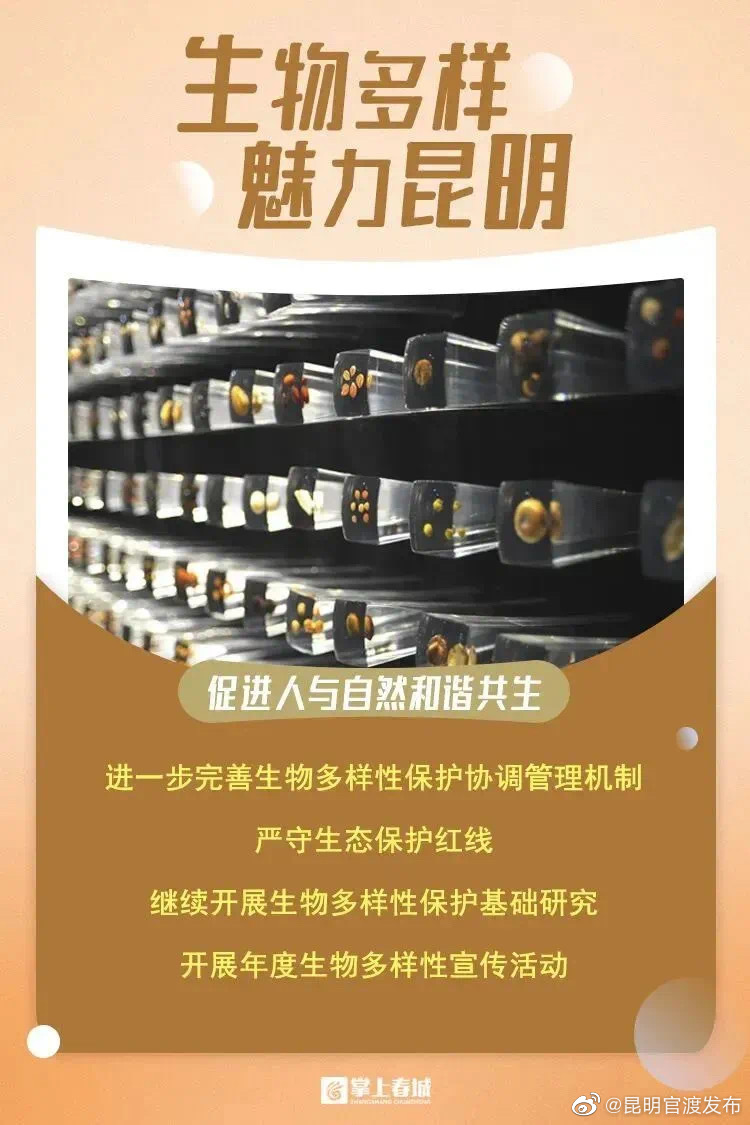 昆明官渡发布