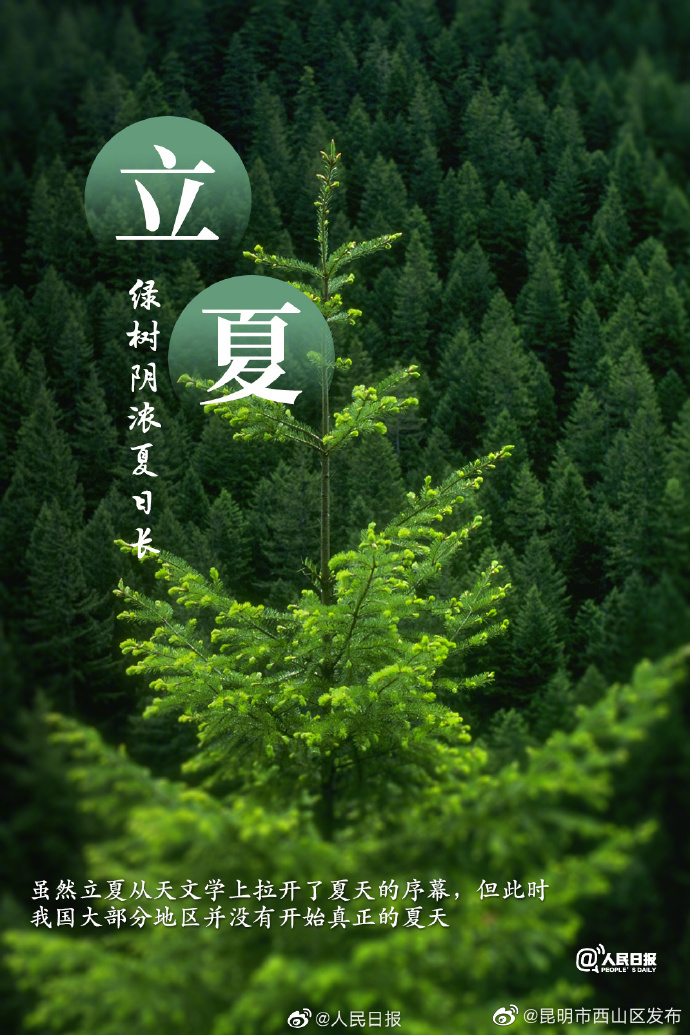 昆明市西山区发布