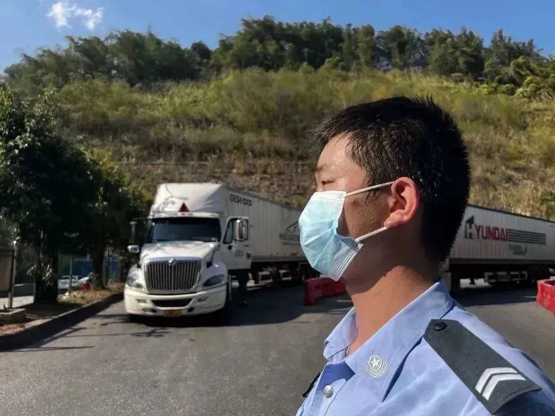 云南政法