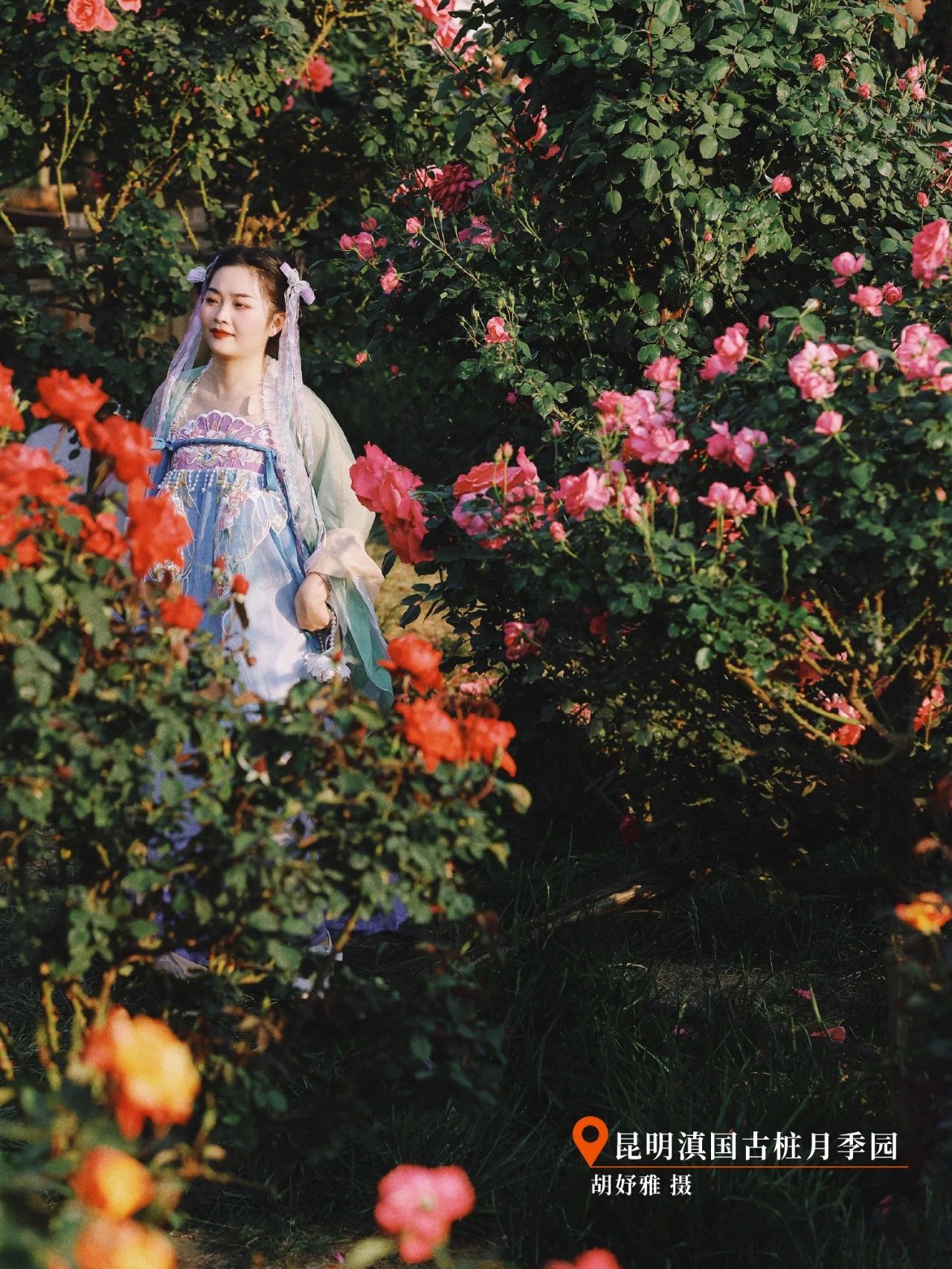 云南省文化和旅游厅