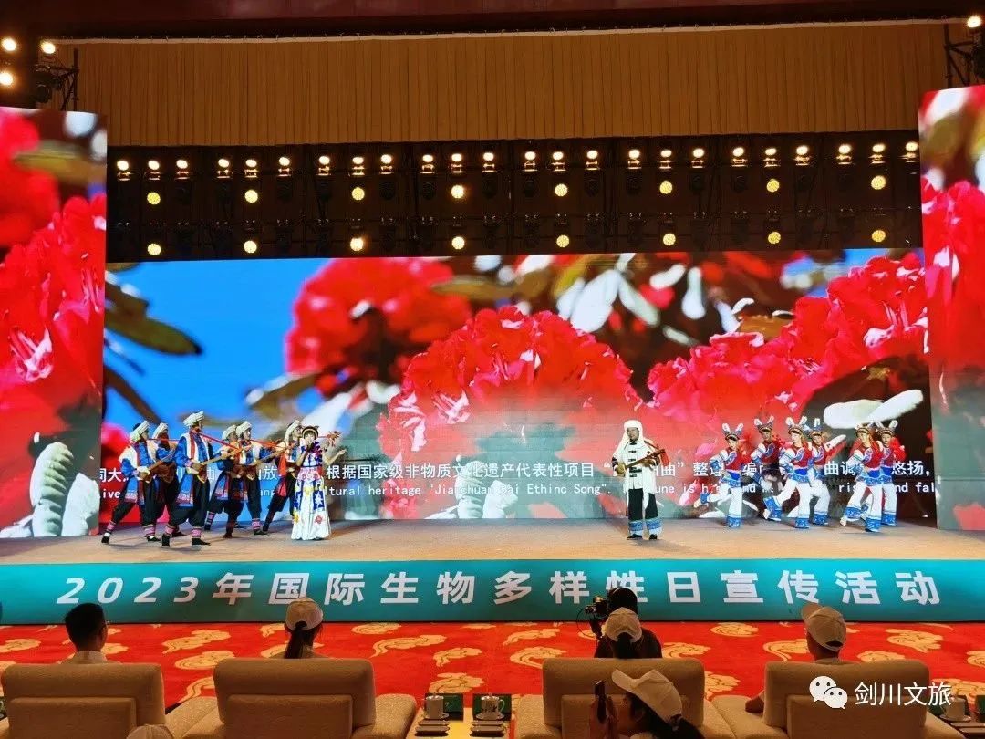 大理日报