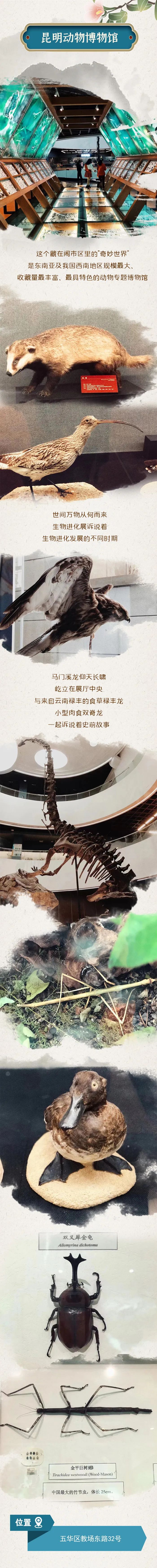 掌上春城