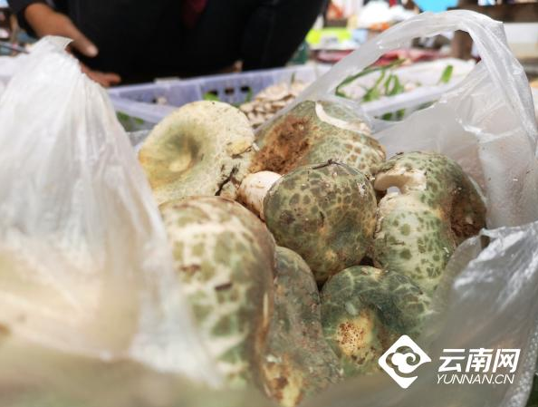 昆明信息港/cnkmxxg
