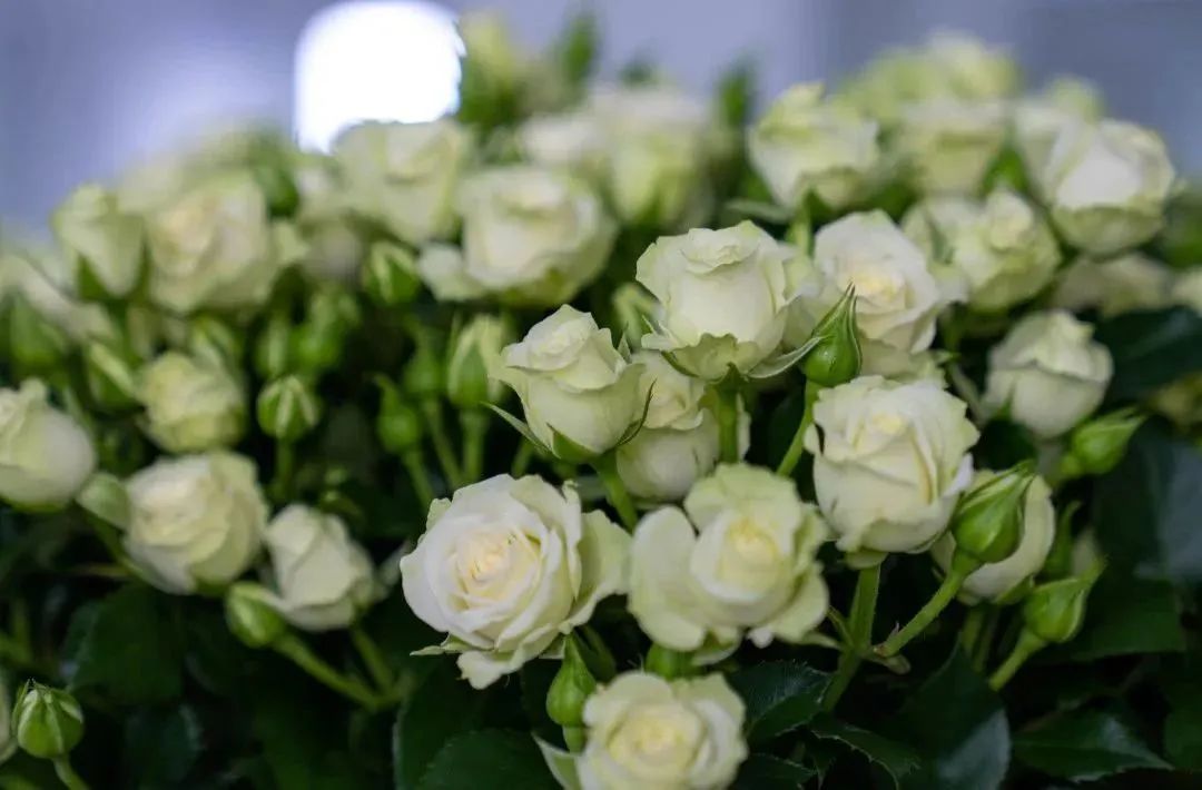 晋宁诗意的栖居地