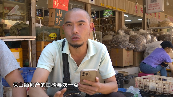 春城晚报