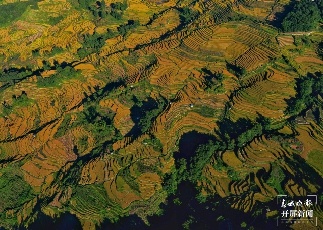 云南省文化和旅游厅