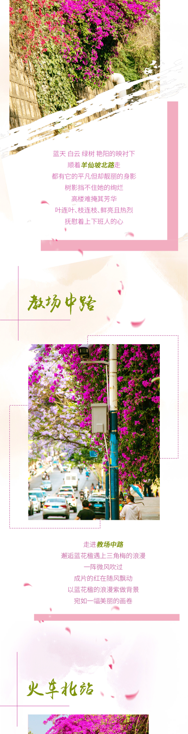 盘龙统战