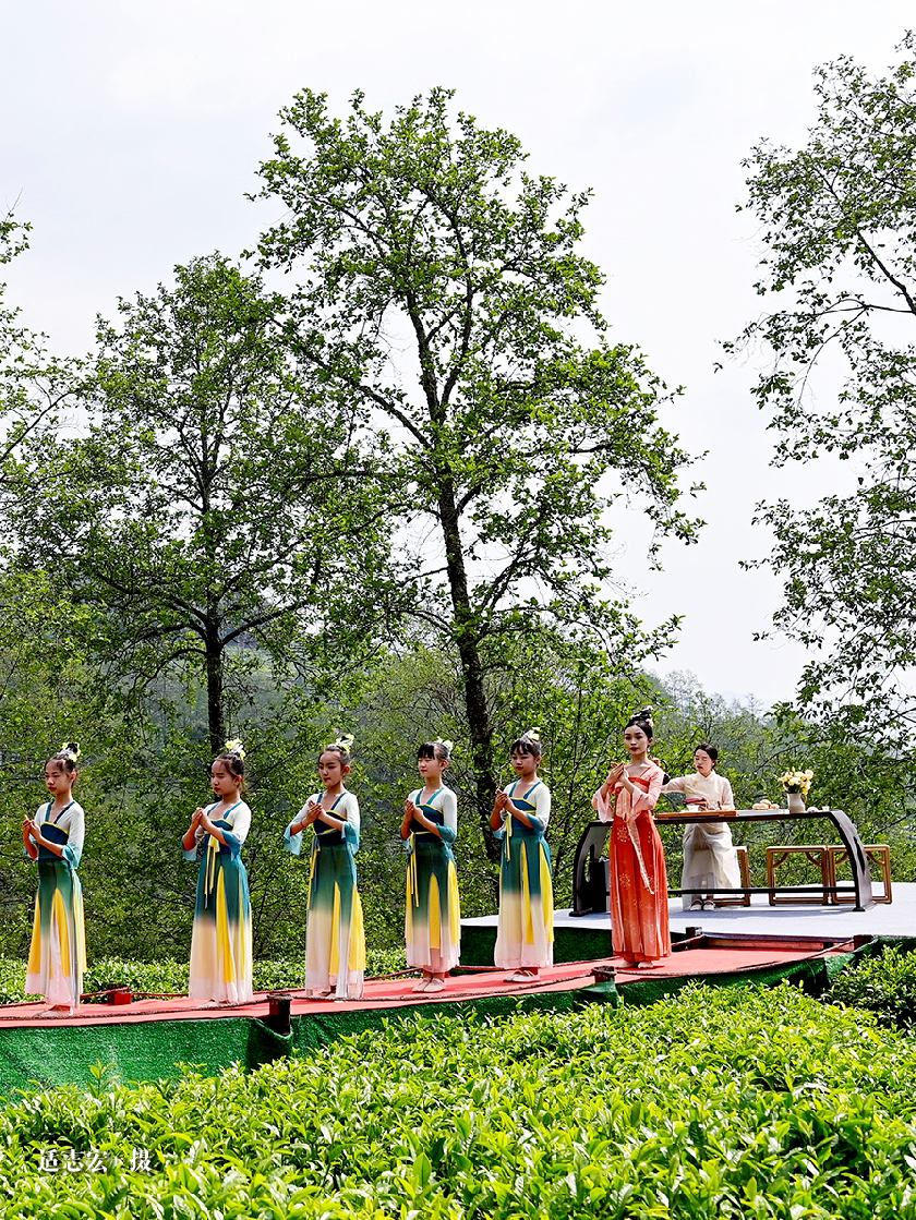 云南省文化和旅游厅
