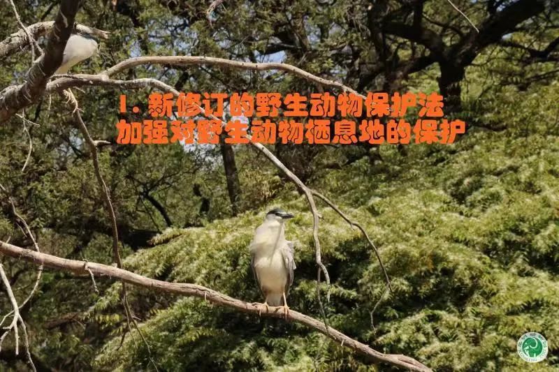 昆明动物园