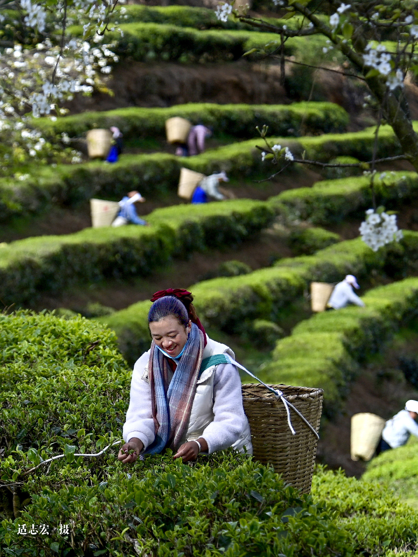 云南省文化和旅游厅