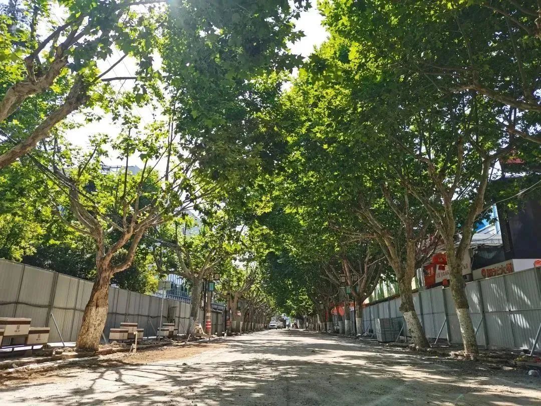 晋宁诗意的栖居地