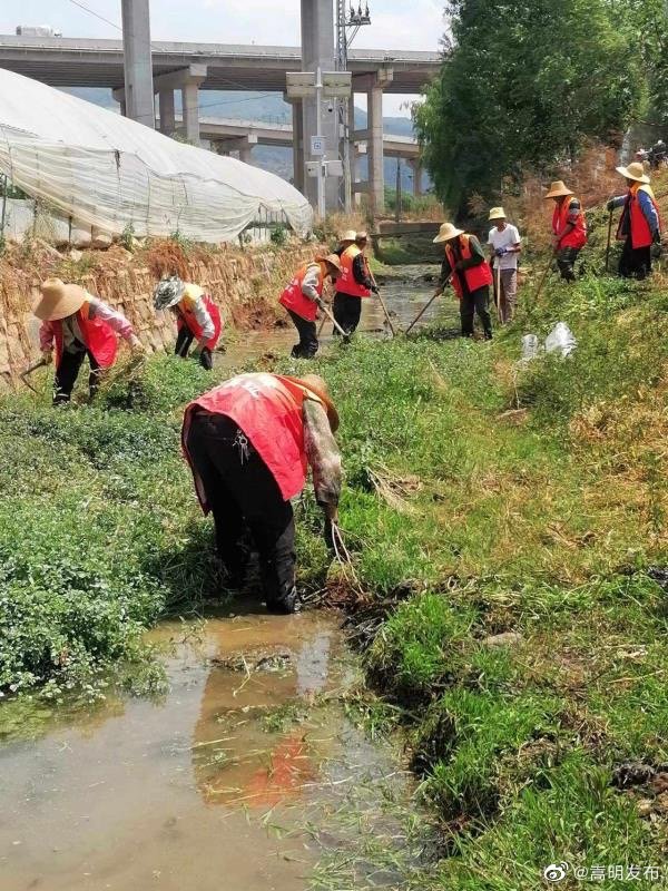 嵩明发布