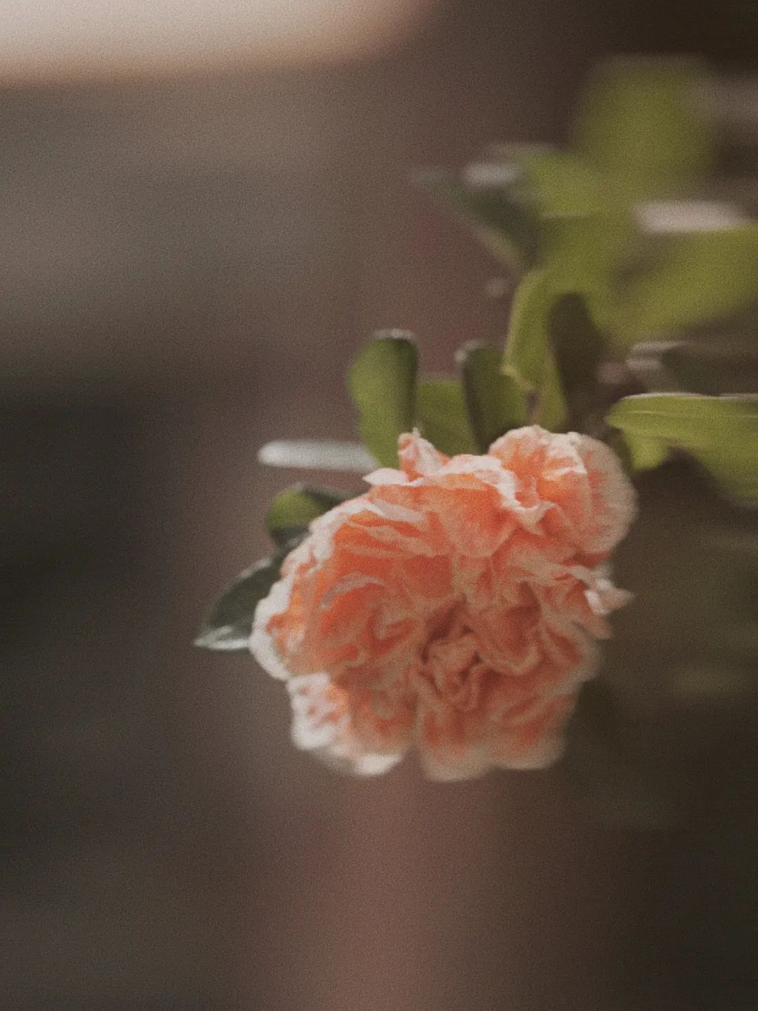 昆明市金殿名胜区