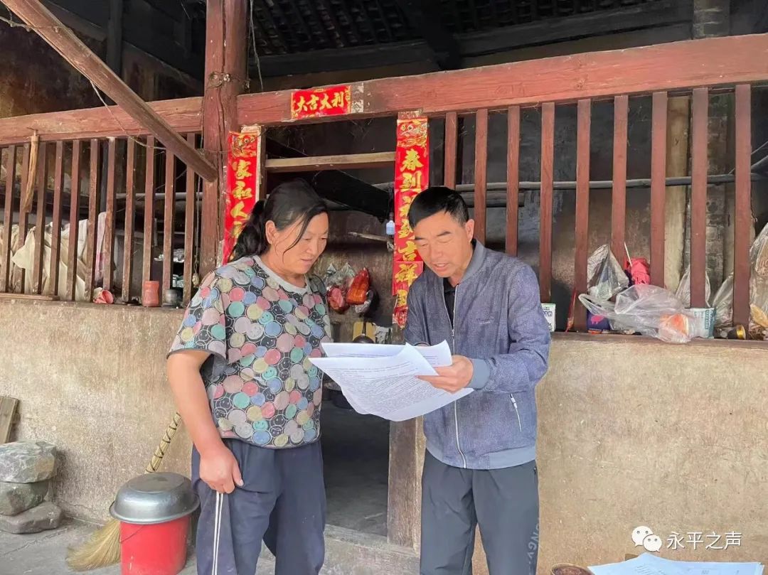 大理日报