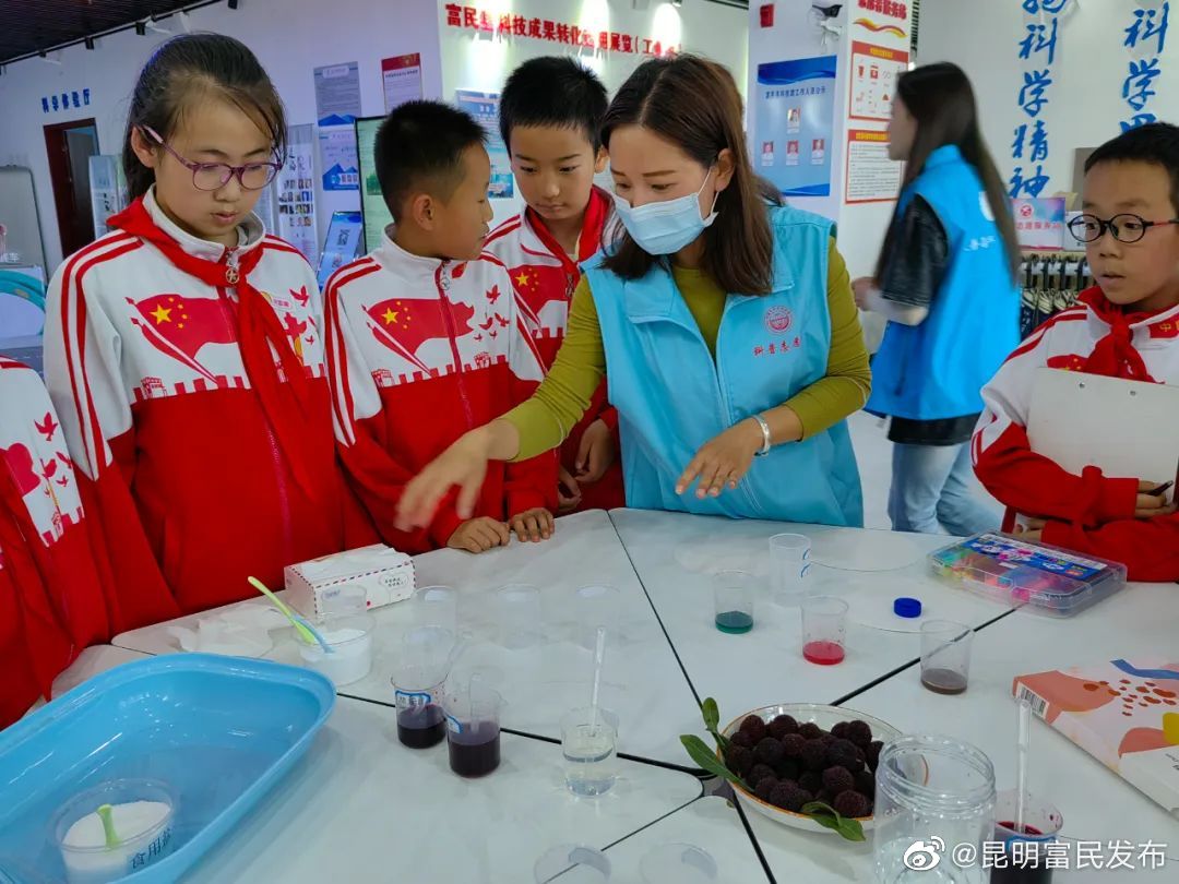 富民县科协助力“杨梅节”出新招