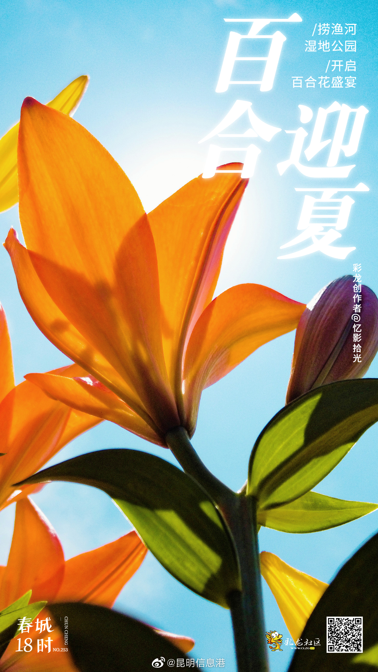 昆明信息港微博