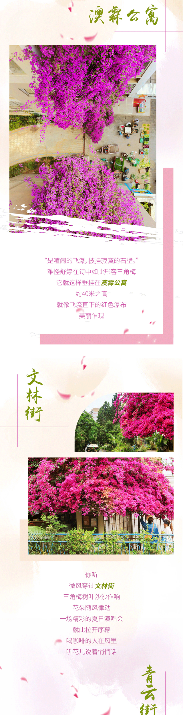 盘龙统战