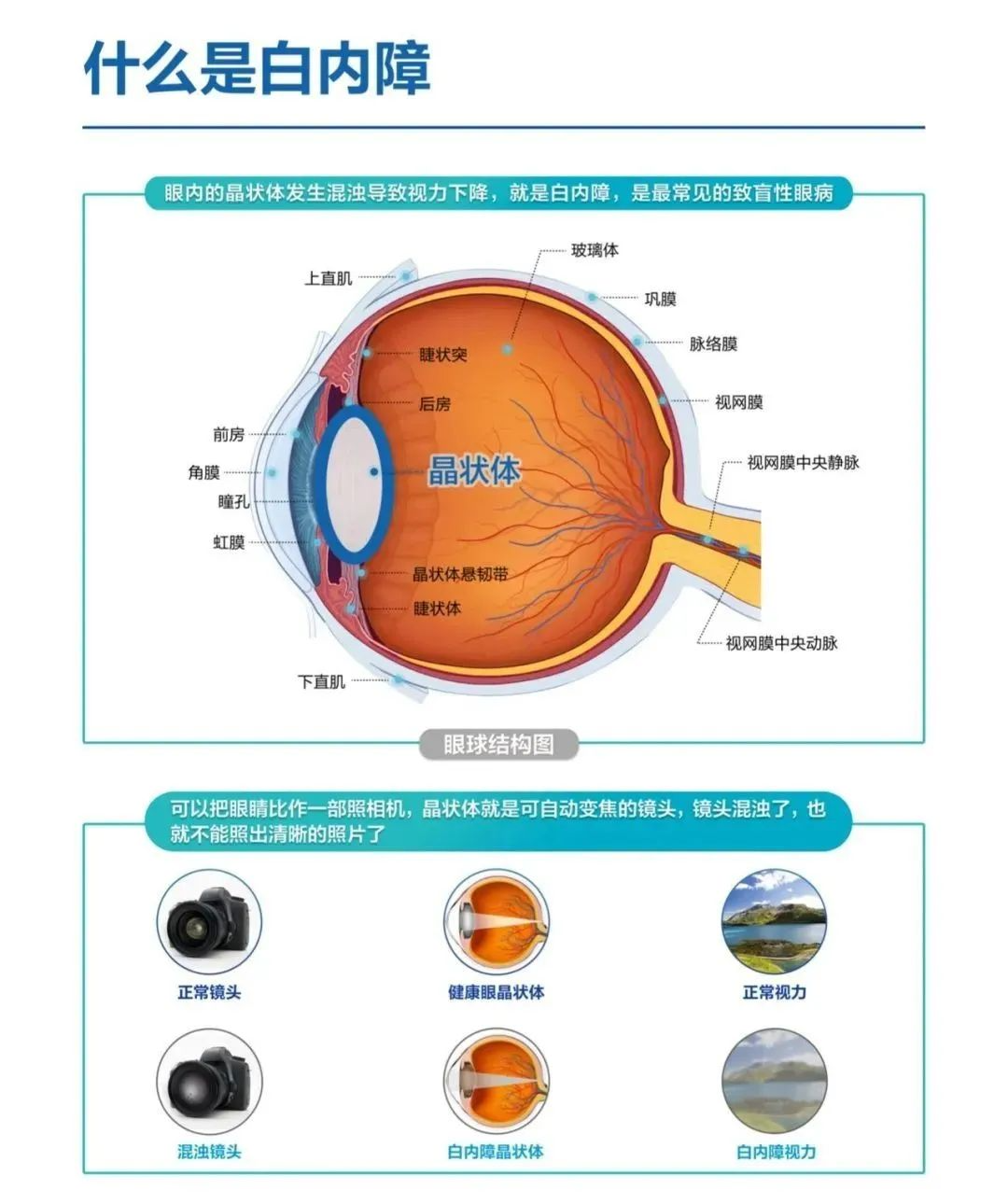 春城晚报