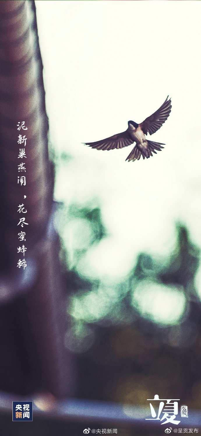 呈贡发布