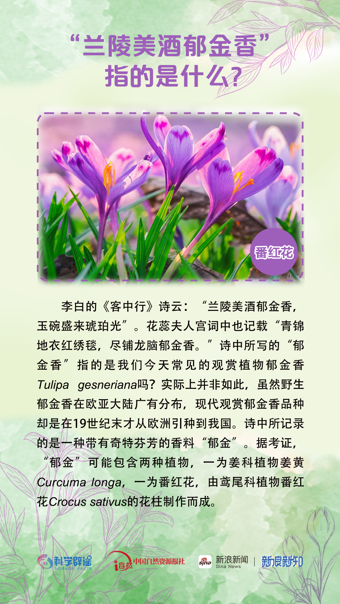 美丽云南微科普
