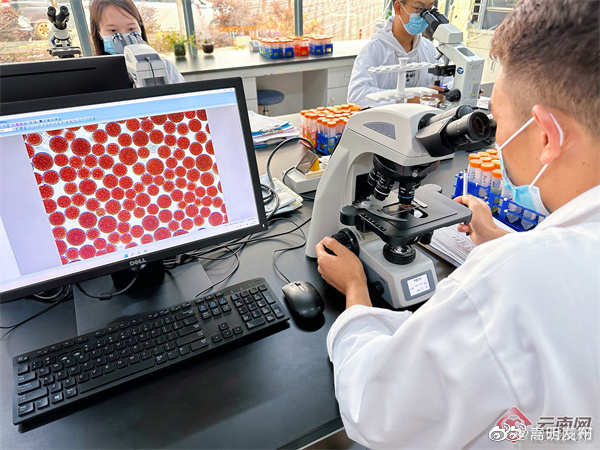 嵩明发布