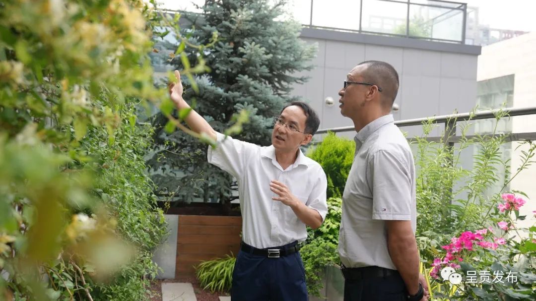 呈贡发布