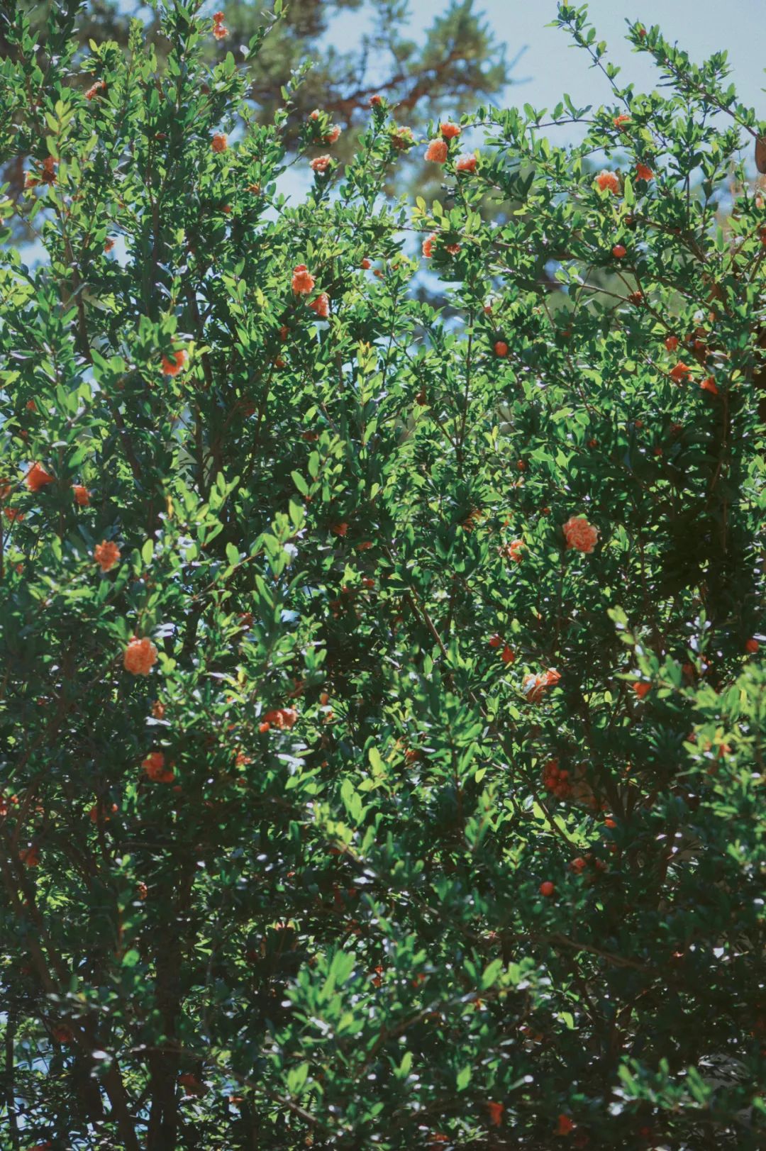 昆明市金殿名胜区