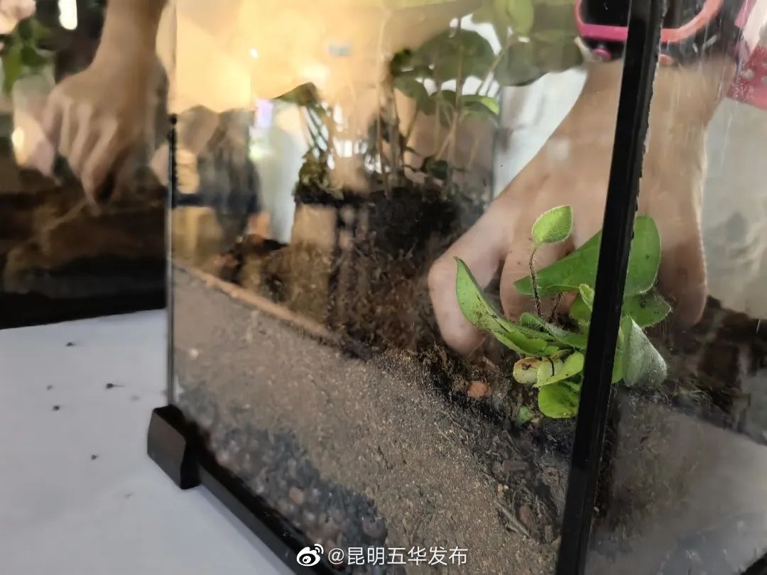 昆明五华发布