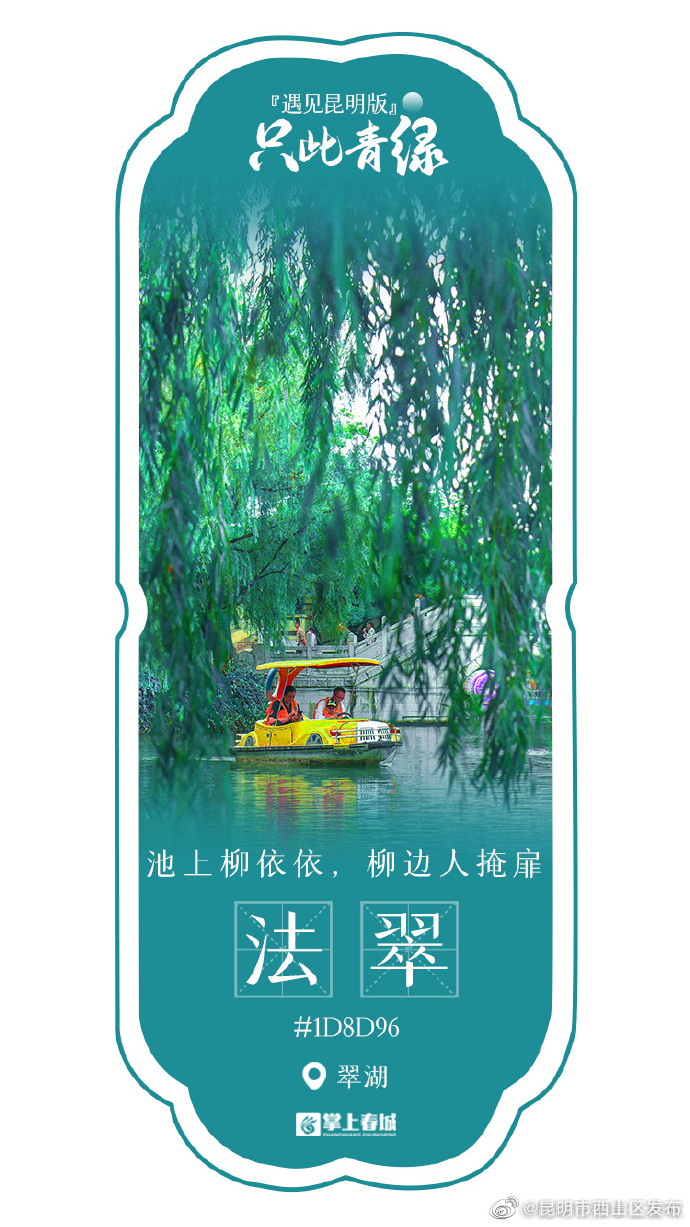 昆明市西山区发布