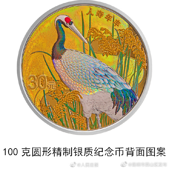 昆明市西山区发布