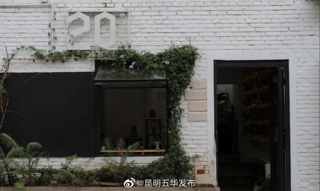 昆明五华发布