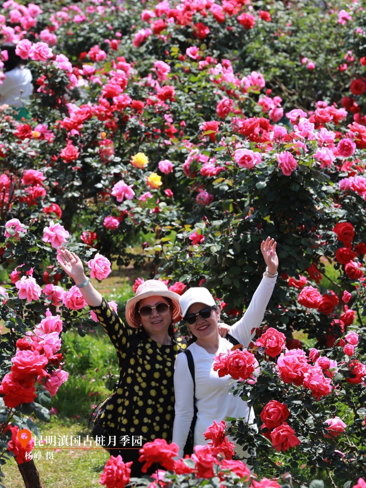 云南省文化和旅游厅