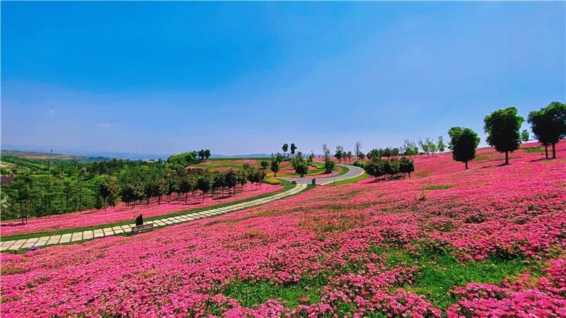 红河文旅