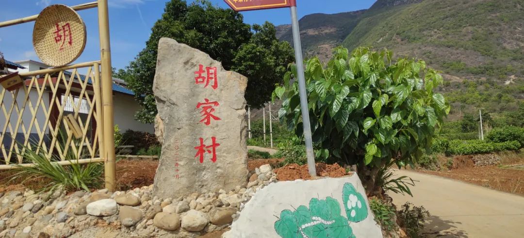 丽江日报