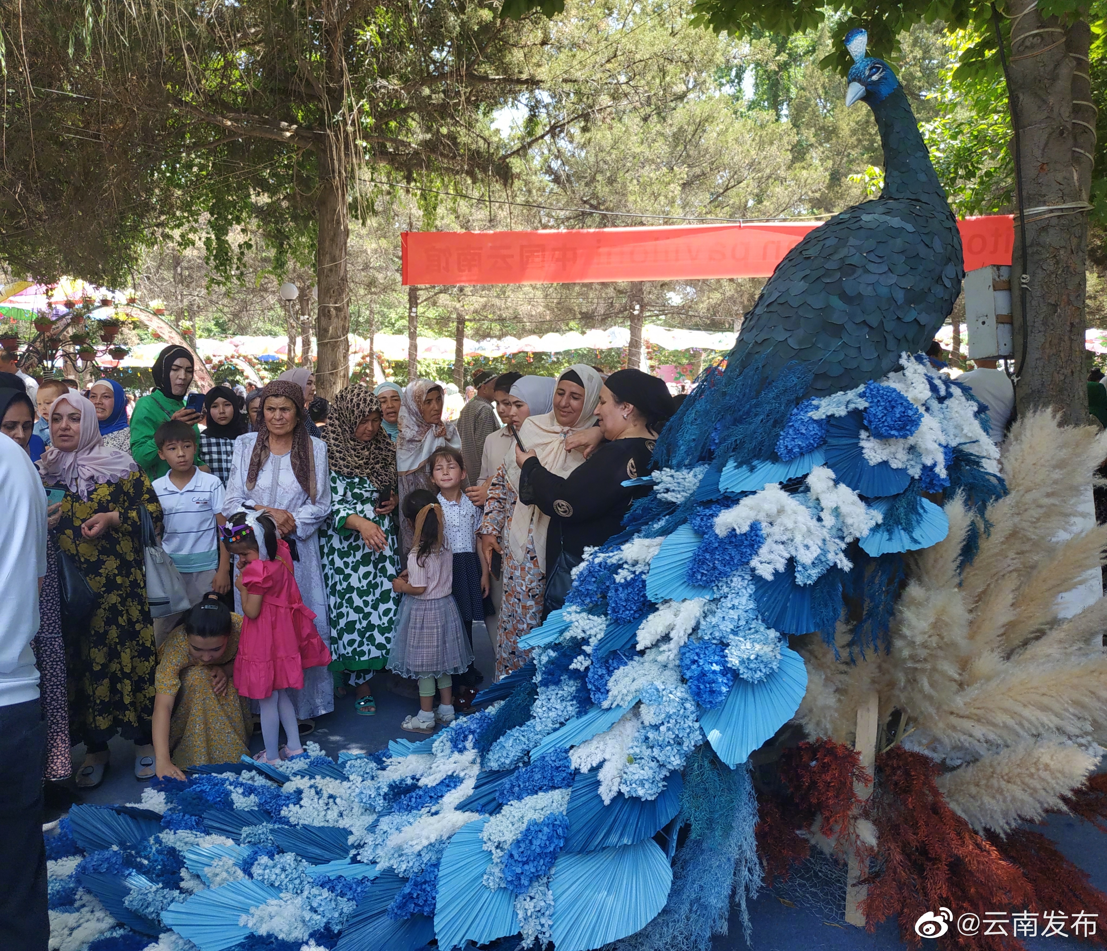 “七彩云南”馆精彩亮相第62届纳曼干国际花卉节