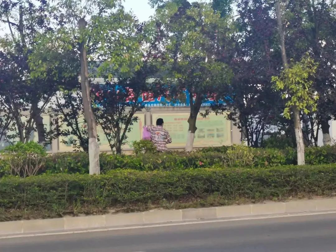 保山新闻网
