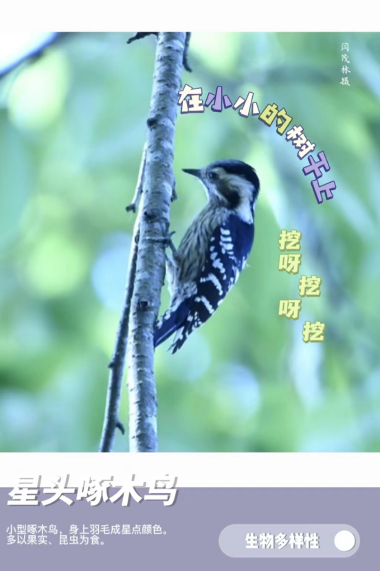 德宏团结报