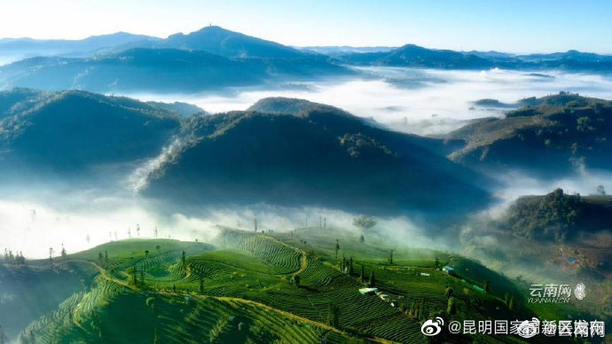 云南省未来24小时天气预报