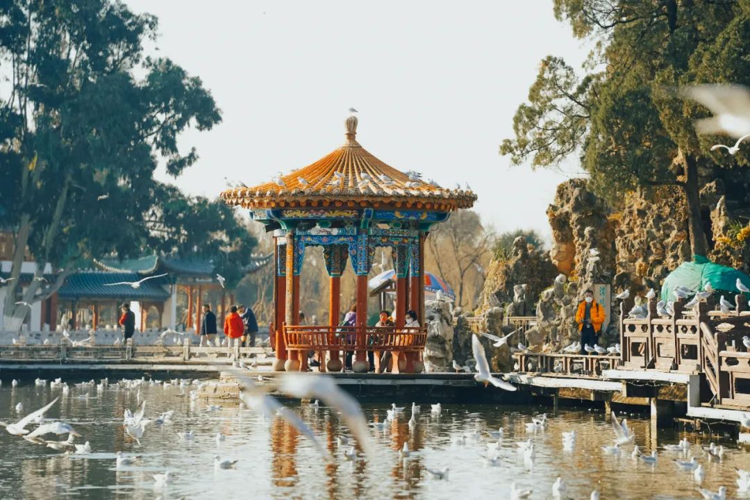 昆明西山发布