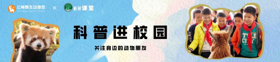 云南野生动物园