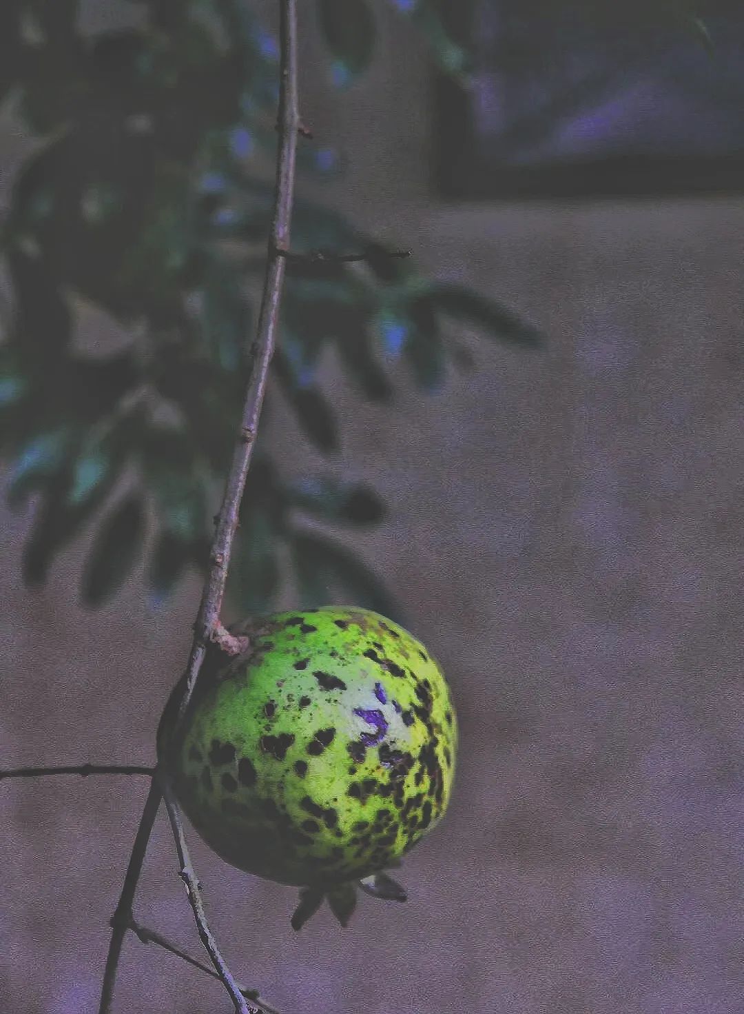 昆明市金殿名胜区