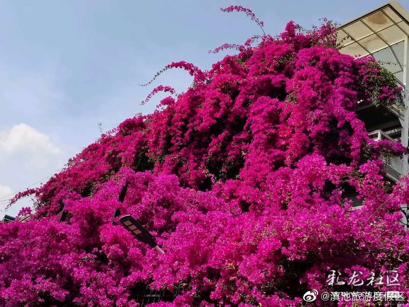 滇池旅游度假区