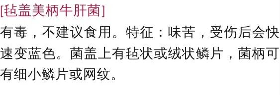 宜良之窗