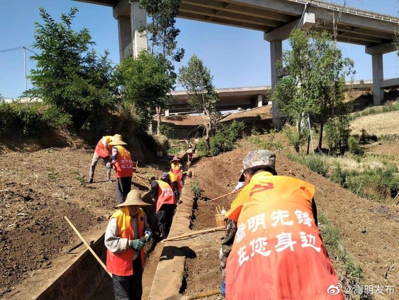 嵩明发布