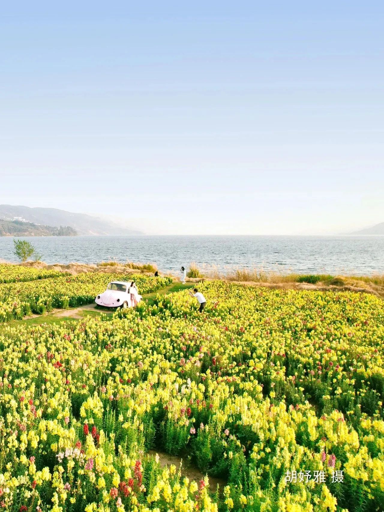 云南省文化和旅游厅